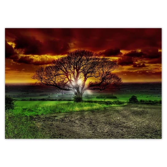 Plakat A4 POZIOM Magiczne drzewo krajobraz ZeSmakiem
