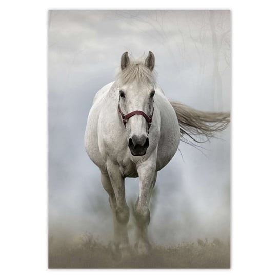 Plakat A5 PION Biały koń ZeSmakiem