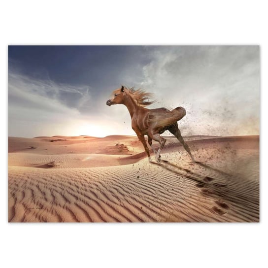Plakat A5 POZIOM Koń galopujący przez pustynię ZeSmakiem