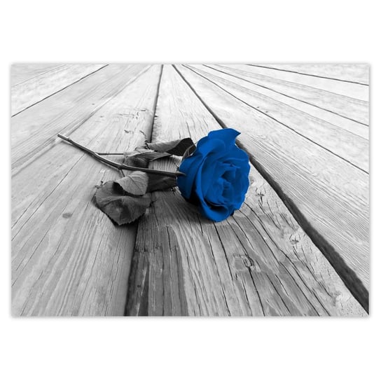 Plakat A5 POZIOM Niebieska róża na deskach ZeSmakiem
