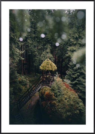 Plakat Altanka w Lesie - 30x40 cm Posteracademy