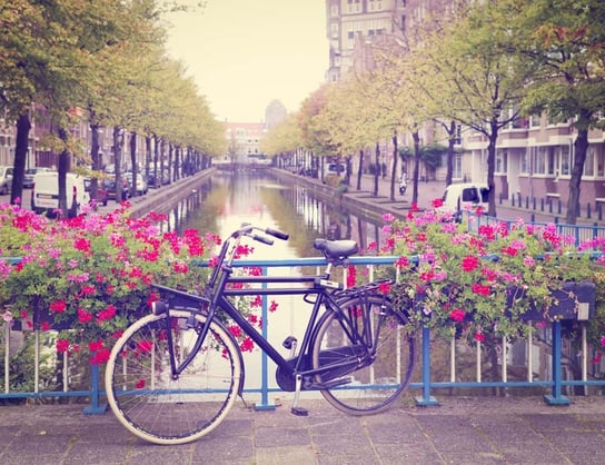 Plakat, Amsterdam Wiosną Rower wśród Kwiatów, 29,7x21 cm Inny producent