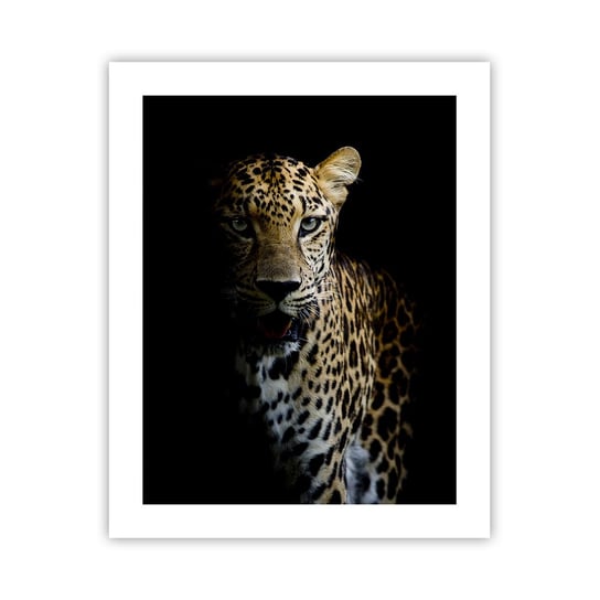 Plakat Arttor Mroczne piękno - 40x50 cm - Plakat bez ramy - Zwierzęta, Lampart, Dziki Kot, Afryka, Drapieżnik - P2XPA40x50-4585 ARTTOR