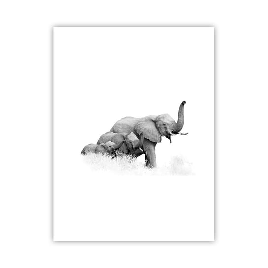 Plakat Arttor Raz, dwa, trzy - 30x40 cm - Plakat bez ramy - Zwierzęta, Słoń, Czarno-Biały, Afryka, Rodzina - P2XPA30x40-4374 ARTTOR