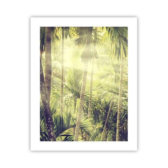 Plakat Arttor W zielonym żarze - 40x50 cm - Plakat bez ramy - Krajobraz, Dżungla, Las Tropikalny, Natura, Promienie Słońca - P2XPA40x50-4450 ARTTOR