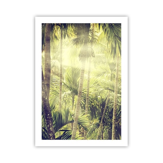 Plakat Arttor W zielonym żarze - 50x70 cm - Plakat bez ramy - Krajobraz, Dżungla, Las Tropikalny, Natura, Promienie Słońca - P2XPA50x70-4450 ARTTOR
