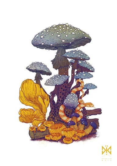 PLAKAT AUTORSKI "WĄŻ GRZYBOWY" 30cmx40cm - DRUK PIGMENTOWY kamilamoth