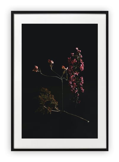 Plakat B1 70x100 cm Czerń Kwiaty Rośliny WZORY Printonia