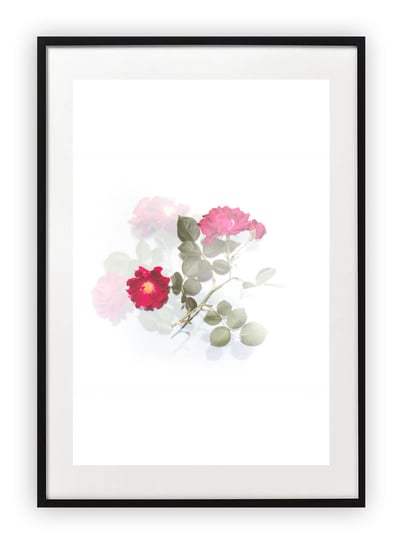 Plakat B1 70x100 cm Zieleń Rośliny Kwiaty Natura    WZORY Printonia