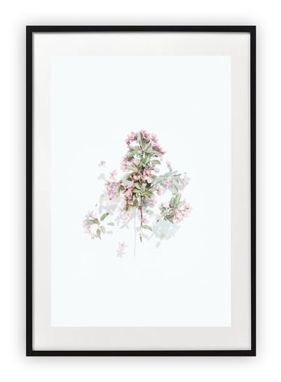 Plakat B2 50x70 cm Kwiaty Natura Rośliny Zieleń    WZORY Printonia