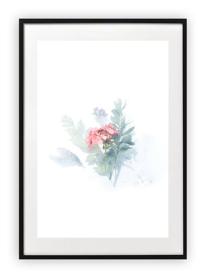 Plakat B2 50x70 cm Kwiaty Rośliny Natura WZORY Printonia