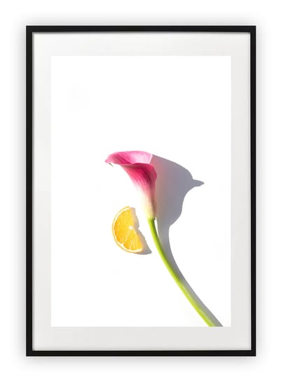 Plakat B2 50x70 cm Kwiaty Rośliny Zieleń Natura  WZORY Printonia