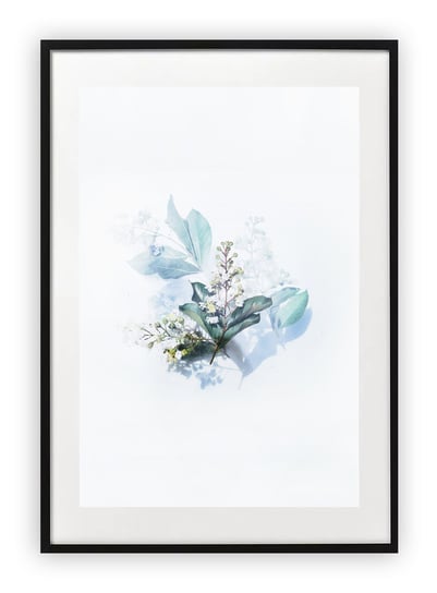 Plakat B2 50x70 cm Roślina Kwiat Błękit   WZORY Printonia