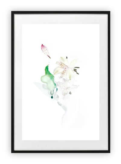Plakat B2 50x70 cm Roślina Kwiat Zieleń Róż WZORY Printonia