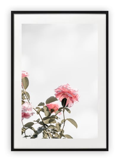 Plakat B2 50x70 cm Roślina Kwiat Zieleń WZORY Printonia