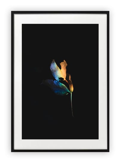 Plakat B2 50x70 cm Tęcza Hologram Roślina WZORY Printonia