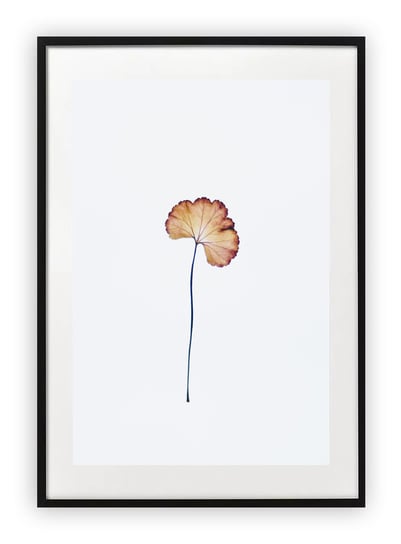 Plakat B2 50x70 cm Zieleń Kwiaty Natura Rośliny     WZORY Printonia