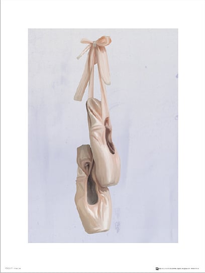 Plakat, Ballet Shoes, 30x40 cm Inna marka