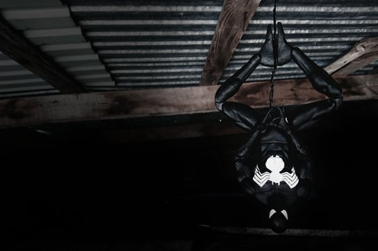 Plakat, Black Spider-Man, 100x70 cm Inna marka