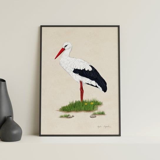 Plakat Bocian Biały  21X30, Polskie Ptaki, Zwierzęta, Autorska Ilustracja, Dekoracja TukanMedia
