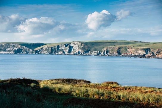 Plakat, Burgh Island Cliffs, 60x40 cm Inna marka