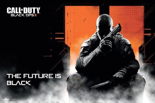Plakat Call Of Duty Black Ops Ii - Landscape GB eye