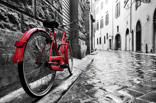 Plakat, Czerwony rower, 50x40 cm Inny producent