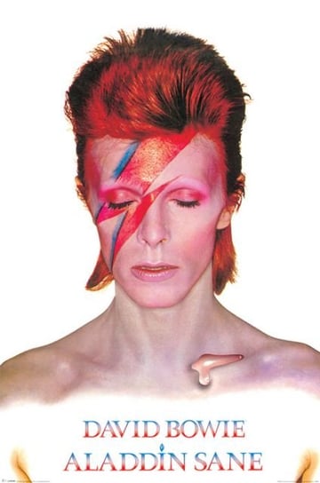 Plakat, David Bowie - Aladdin Sane, 61x91 cm Pyramid International