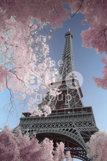 plakat DAVID CLAPP - EIFFEL TOWER INFRARED, PARIS Pyramid