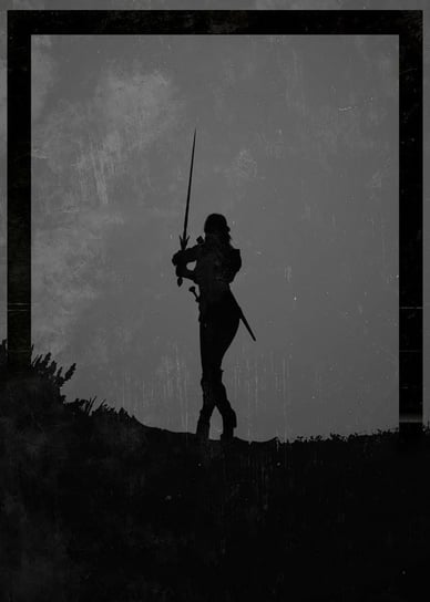 Plakat, Dawn of Heroes - Ciri, Wiedźmin, 20x30 cm Inna marka