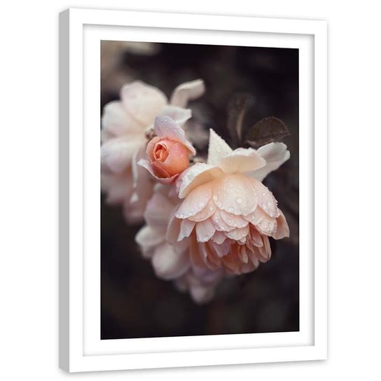 Plakat dekoracyjny w ramie białej FEEBY Kwiaty rosa zbliżenie, 21x30 cm Feeby
