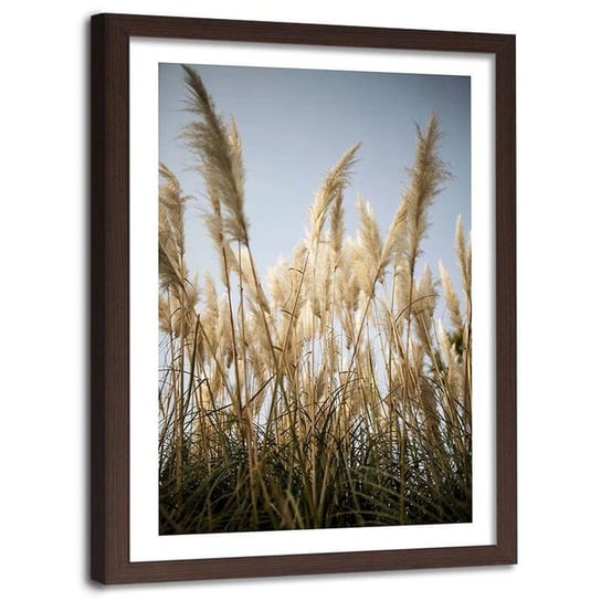 Plakat dekoracyjny w ramie brązowej FEEBY Kwitnąca trawa natura, 60x80 cm Feeby
