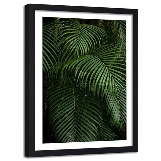 Plakat dekoracyjny w ramie czarnej FEEBY Bujne liście palmy, 60x80 cm Feeby