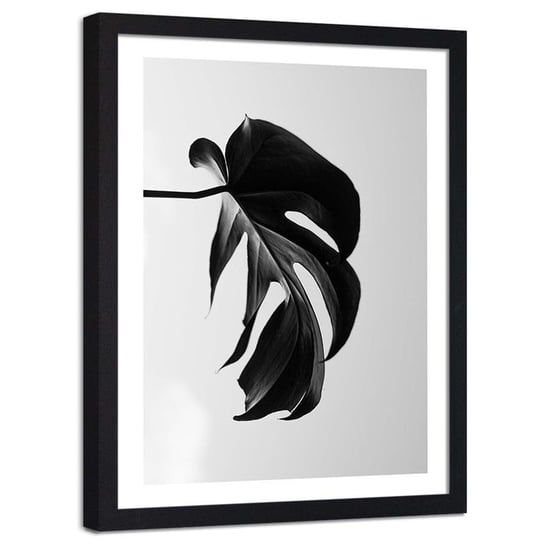 Plakat dekoracyjny w ramie czarnej FEEBY Monstera liść natura, 21x30 cm Feeby