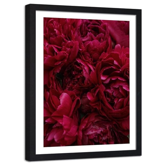 Plakat dekoracyjny w ramie czarnej FEEBY Piwonia kwiat zbliżenie, 20x30 cm Feeby