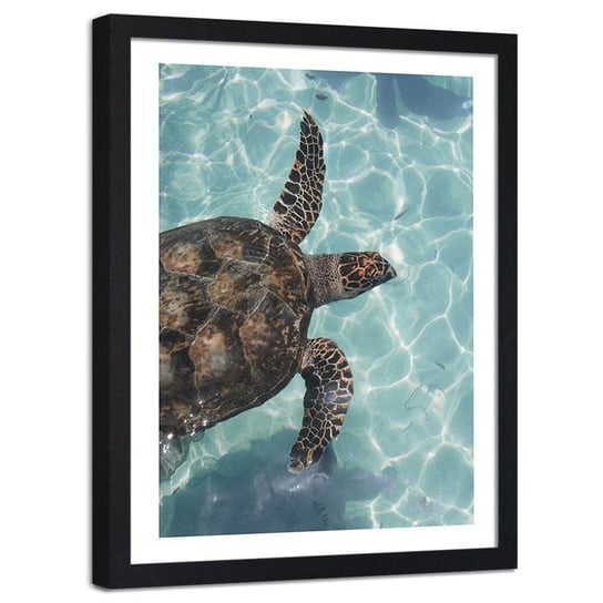 Plakat dekoracyjny w ramie czarnej FEEBY Żółw wodny w morzu, 30x40 cm Feeby