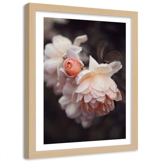 Plakat dekoracyjny w ramie naturalnej FEEBY Kwiaty rosa makro, 21x30 cm Feeby