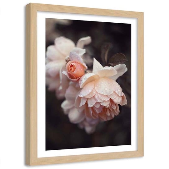 Plakat dekoracyjny w ramie naturalnej FEEBY Kwiaty rosa makro, 30x40 cm Feeby