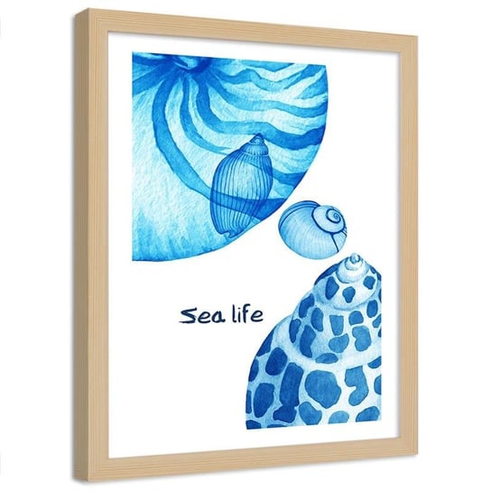 Plakat dekoracyjny w ramie naturalnej FEEBY Sea life i muszelki, 60x80 cm Feeby