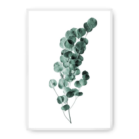 Plakat DEKORIA Eucalyptus Emerald Green, 40x50 cm, biała ramka Dekoria