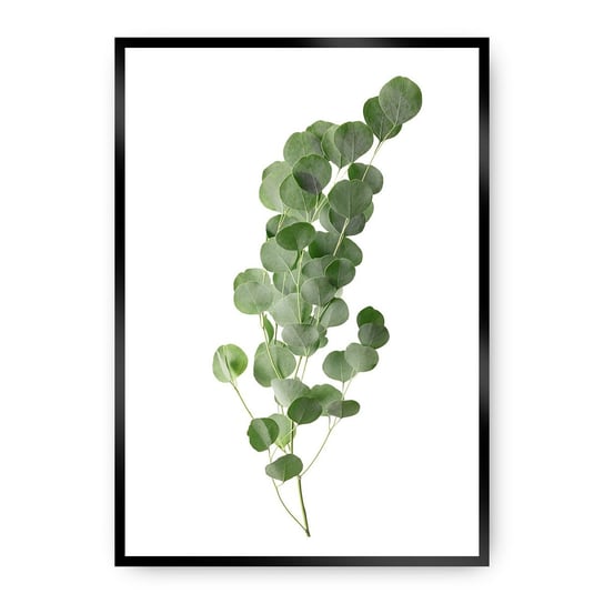 Plakat DEKORIA Eucalyptus Green, 30x40 cm, czarna ramka Dekoria