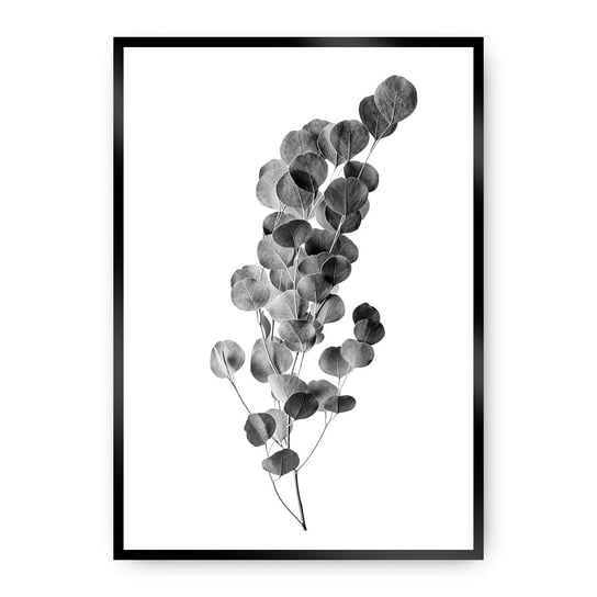 Plakat DEKORIA Eucalyptus Grey, 21x30 cm, czarna ramka Dekoria