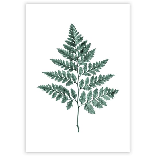 Plakat DEKORIA Fern Emerald Green, 21x30 cm, biało-zielony, bez ramki Dekoria