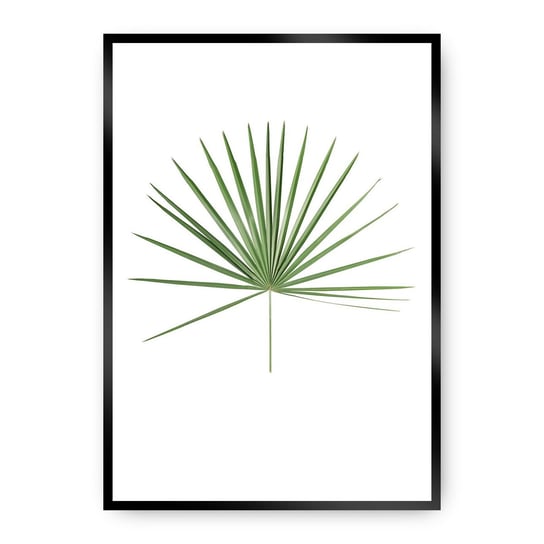 Plakat DEKORIA Fern Emerald Green, 21x30 cm, czarna ramka Dekoria