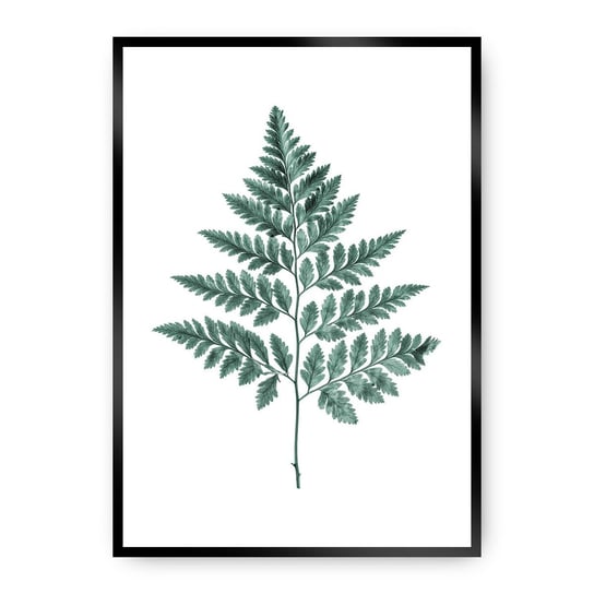 Plakat DEKORIA Fern Emerald Green, 21x30 cm, czarna ramka Dekoria