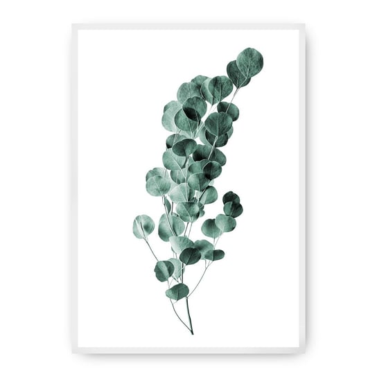 Plakat DEKORIA Fern Emerald Green, 30x40 cm, biała ramka Dekoria