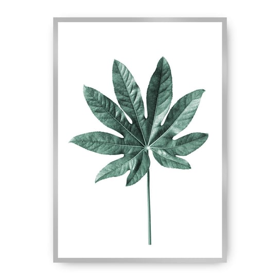 Plakat DEKORIA Leaf  Emerald Green, 30x40 cm, srebrna ramka Dekoria