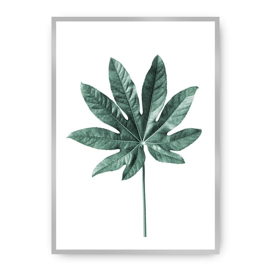 Plakat DEKORIA Leaf  Emerald Green, 40x50 cm, srebrna ramka Dekoria