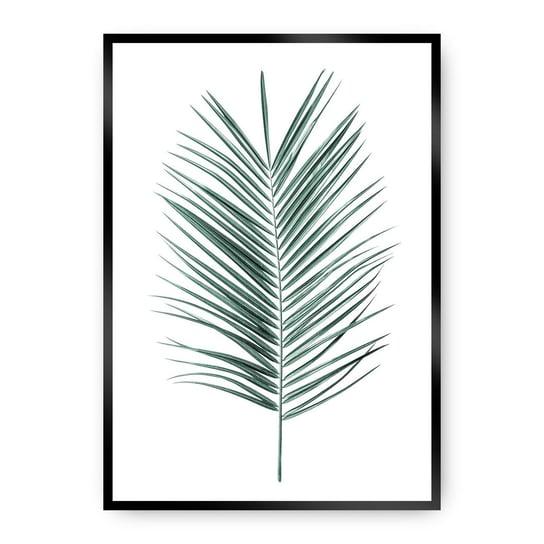 Plakat DEKORIA Palm Leaf Emerald Green, 21x30 cm, czarna ramka Dekoria