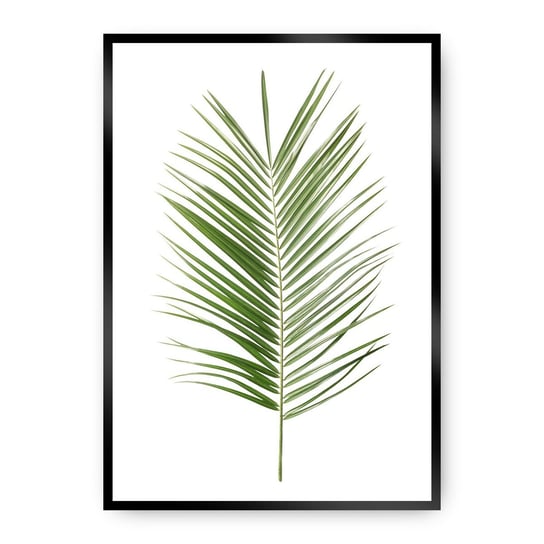 Plakat DEKORIA Palm Leaf Green, 21x30 cm, czarna ramka Dekoria